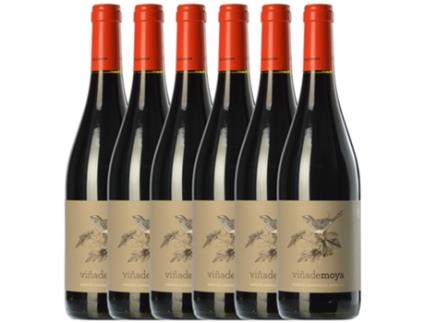 Vinho LUZDIVINA AMIGO Luzdivina Amigo Viña De Moya Mencía Bierzo Roble (0.75 L - 6 unidades)