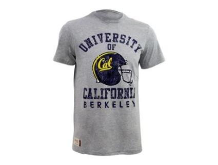 T-shirt Homem AMERICAN FRESHMAN Cinzento (Tam: S)