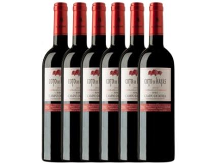 Vinho BODEGAS ARAGONESAS Bodegas Aragonesas Coto De Hayas Campo De Borja Crianza (0.75 L - 6 unidades)