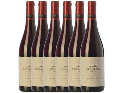 Vinho NEKEAS Nekeas Cepa Por Cepa Garnacha Navarra Joven (0.75 L - 6 unidades)