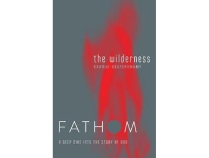 Livro fathom bible studies: the wilderness student journal de rose taylor (inglês)