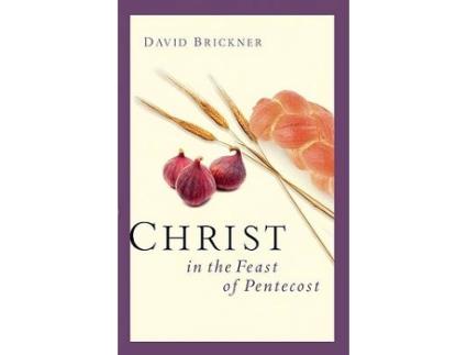 Livro christ in the feast of pentecost de rich robinson (inglês)