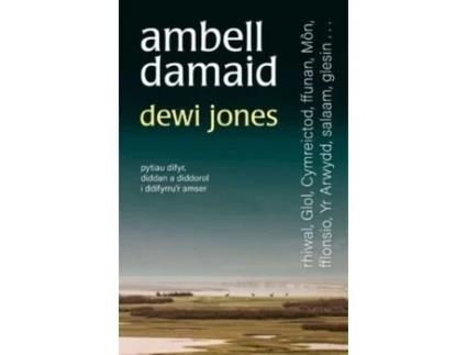 Livro ambell damaid de dewi jones (galês)