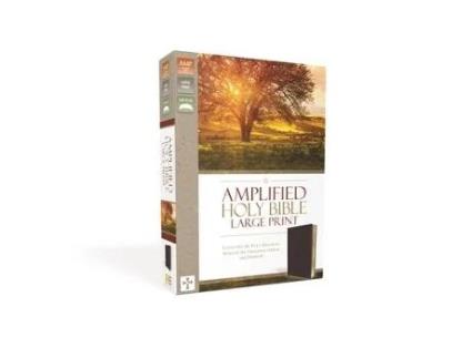 Livro amplified holy bible, large print, bonded leather, burgundy de zondervan (inglês)