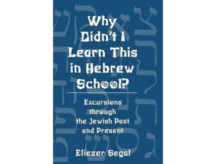 Livro why didn't i learn this in hebrew school? de eliezer segal (inglês)