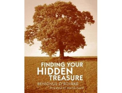 Livro finding your hidden treasure de benignus o'rourke (inglês)