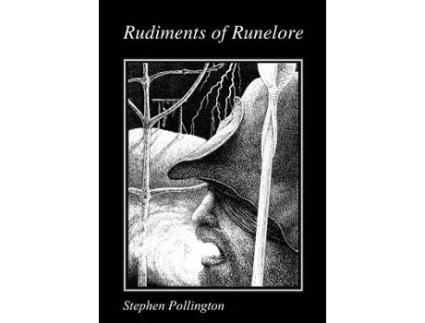 Livro rudiments of runelore de stephen pollington (inglês)