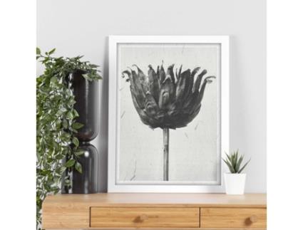 Póster NACNIC O Piso Preto e Branco 19.