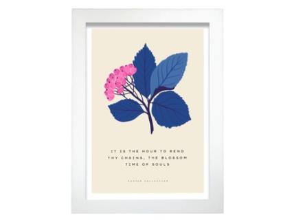 Póster Artemante NACNIC Pop. Hypericum Berries Ilustrações artísticas modernas para decoração de interiores.