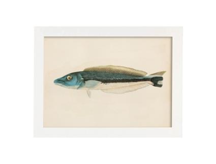 Póster NACNIC Linha de Peixe Azul Cinza e Branco, Fundo de Papel Vintage