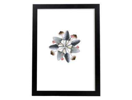 Póster NACNIC com Ilustração de Colagem20 Estilo de Colagem