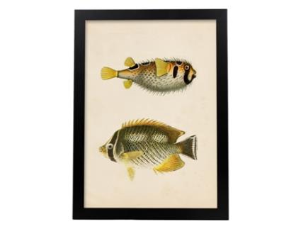 Póster NACNIC Perda de Dois Peixes Amarelos Cinza e Preto, Fundo de Papel Vintage