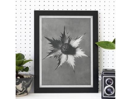 Póster NACNIC Perda Preta e Preta 21. com Ilustrações de Flores e Plantas em Tons Cinzentos.