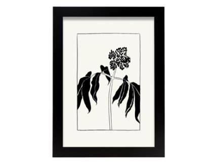 Póster Artemante NACNIC Pop. Ilustrações artísticas modernas de Ashoka Tree para decoração de interiores.