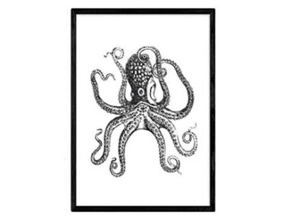 Nacnic Póster NACNIC de Pulpo (A4)