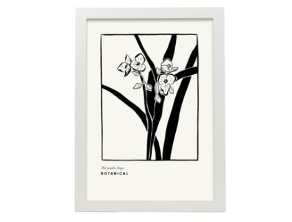 Póster Artemante NACNIC Pop. Phalaenopsis Ilustrações artísticas modernas para decoração de interiores.