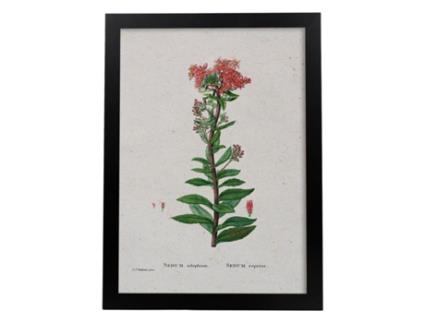 Póster NACNIC Natureza - 079.