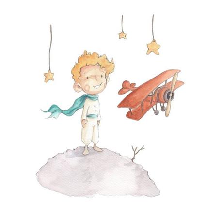 Vinil Little Prince