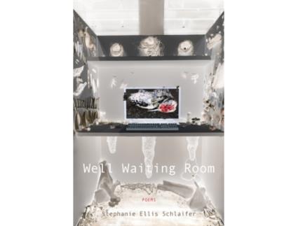 Livro well waiting room de stephanie ellis schlaifer (inglês)