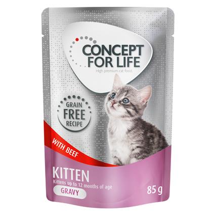 Concept for Life 24 x 85 g - Pack económico - Kitten Grainfree vaca em molho