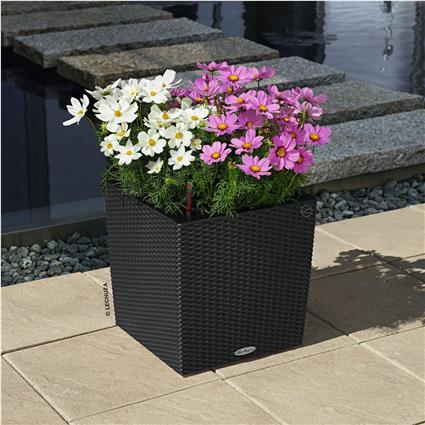 LECHUZA Vaso CUBE Cottage 40 ALL-IN-ONE cor granito