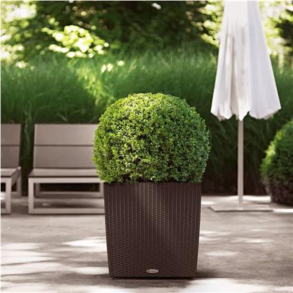LECHUZA Vaso CUBE Cottage 50 ALL-IN-ONE cor moca