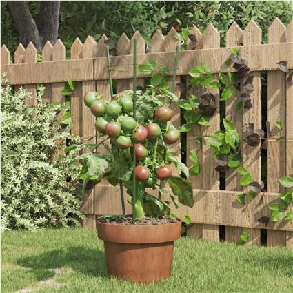 vidaXL Suportes p/ plantas de jardim c/ 3 anéis 5 pcs 45 cm aço verde