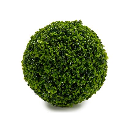 Bola Arbusto Verde