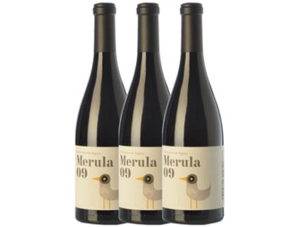 Vinho DG Dg Merula Merlot Penedès (0.75 L - 3 unidades)