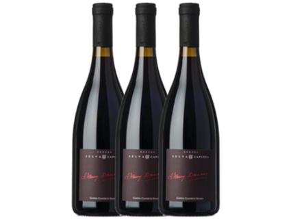 Vinho SELVA CAPUZZA Selva Capuzza Classico Dunant Garda (0.75 L - 3 unidades)