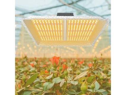 Lâmpada de Crescimento ANSELF 1000W 380 LEDS Plantas