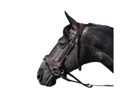 Cabeçadas de Denver combinadas LEXINGTON