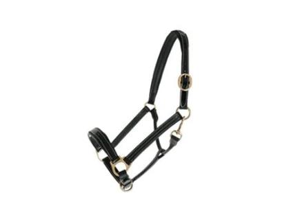 Cabresto de couro para cavalos CHETAK Bright
