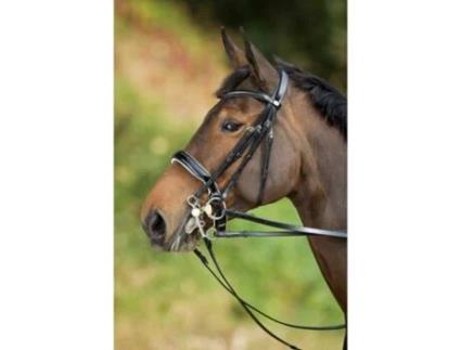 Cabeçotes de cavalo HFI Weymouth