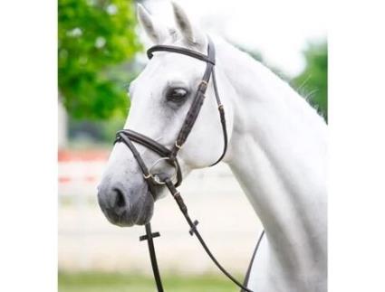 Cabeçada curva redonda para cavalos com fivela de aço inoxidável DASLÖ