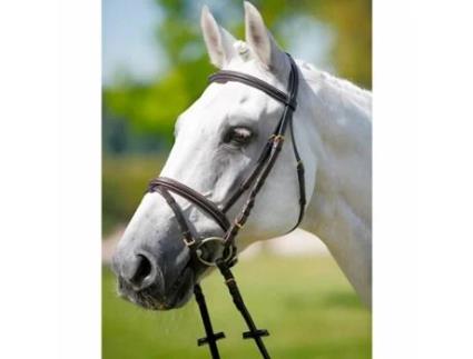 Encosto de cabeça, browband-licol, branco TATTINI
