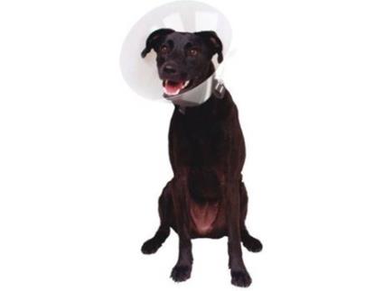 Colar Isabelino para Cães  (33-41x20 cm)