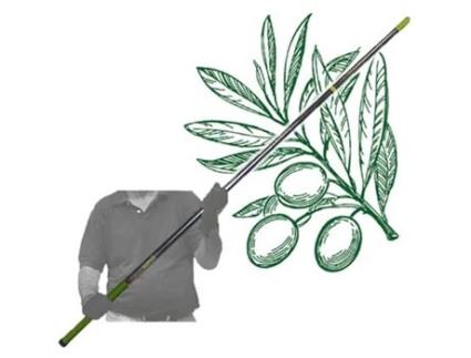 Vara olivo fibra de vidrio - 2,1 m