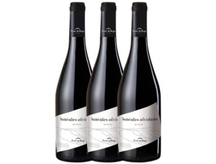 Vinho PONTE DA BOGA Ponte Da Boga Bancales Olvidados Mencía Ribeira Sacra (0.75 L - 3 unidades)