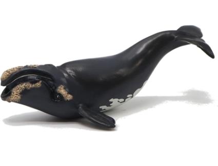 Figuras de Brincar PAPOYoung Right Whale (Idade Mínima Recomendada: 3 anos)