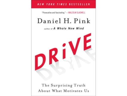 Livro Drive de Daniel H. Pink