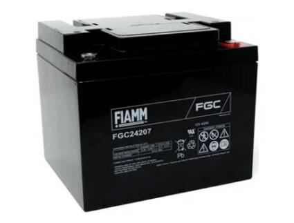 Bateria FIAMM para FG24204 Vds