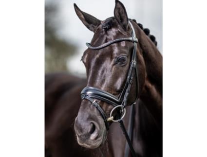 Cabeçada para cavalos LeMieux Classic