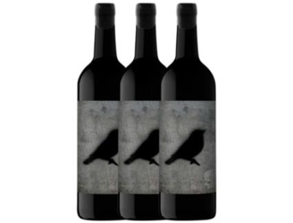 Vinho VIÑA ZORZAL Viña Zorzal Nat Cool Graciano Navarra (1 L - 3 unidades)