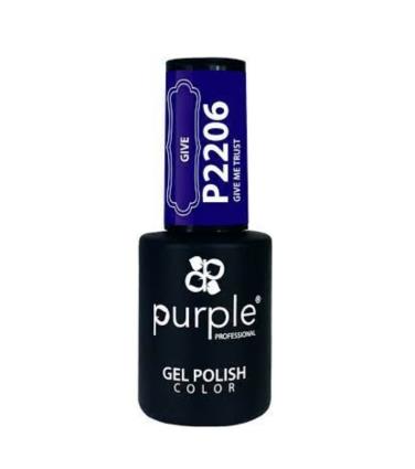 Purple Professional Gel Polish Color 2206 10 ML