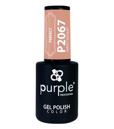 Purple Professional Gel Polish Color 2067 10Ml