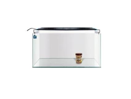 Aquário Urna Vidro sem moldura 60 L. + Luz Led