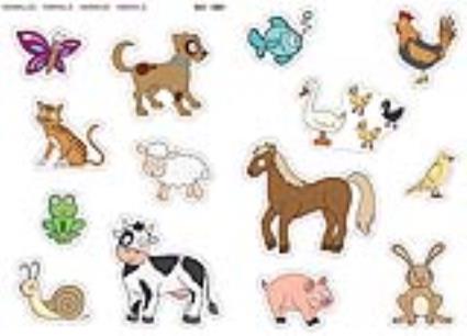 Etiquetas Autocolantes Maxi Animais Removíveis A4 2f
