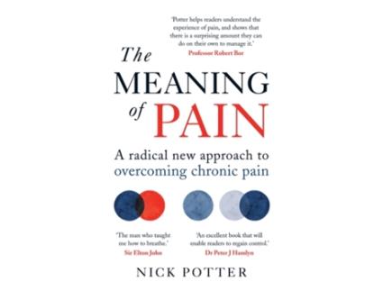 Livro the meaning of pain de nick potter (inglês)