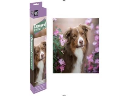 Pinta Com Diamantes Grafix Cao 20x20 Cm